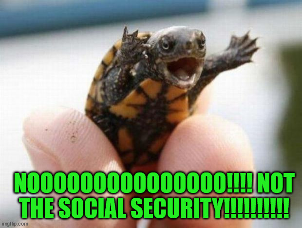 happy baby turtle | NOOOOOOOOOOOOOOO!!!! NOT THE SOCIAL SECURITY!!!!!!!!!! | image tagged in happy baby turtle | made w/ Imgflip meme maker