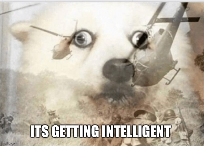 PTSD dog | ITS GETTING INTELLIGENT | image tagged in ptsd dog | made w/ Imgflip meme maker