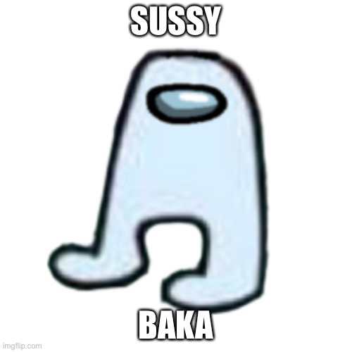 AMOGUS | SUSSY; BAKA | image tagged in amogus | made w/ Imgflip meme maker