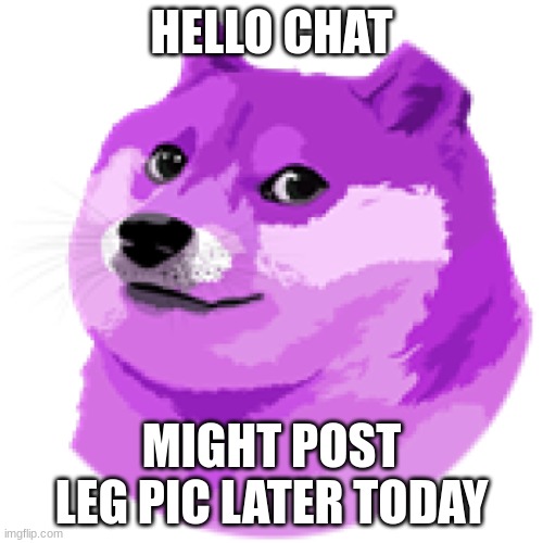 LEAN DOGE | HELLO CHAT; MIGHT POST LEG PIC LATER TODAY | image tagged in lean doge | made w/ Imgflip meme maker