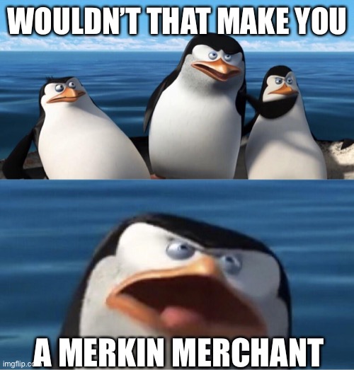 Wouldn't that make you | WOULDN’T THAT MAKE YOU; A MERKIN MERCHANT | image tagged in wouldn't that make you,merkin,merchant,sales | made w/ Imgflip meme maker