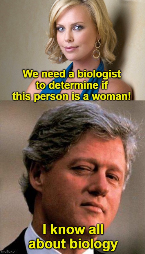 XX & XY- it's perverse mental gymnastics to say otherwise. | We need a biologist to determine if this person is a woman! I know all about biology | image tagged in bill clinton wink,liars,biology,men vs women | made w/ Imgflip meme maker