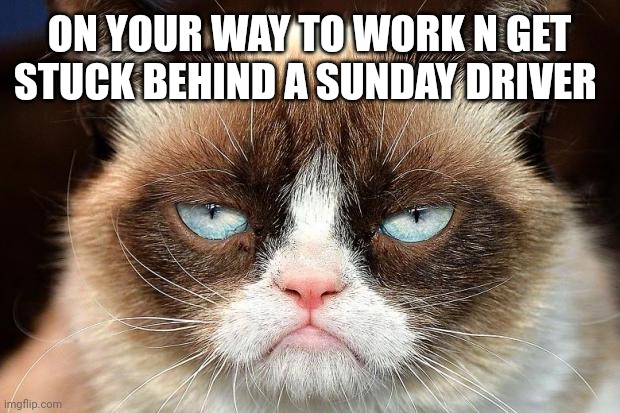 Grumpy Cat Not Amused | ON YOUR WAY TO WORK N GET STUCK BEHIND A SUNDAY DRIVER | image tagged in memes,grumpy cat not amused,grumpy cat | made w/ Imgflip meme maker