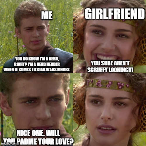 This is often how my conversations go with her. | GIRLFRIEND; ME; YOU DO KNOW I'M A NERD, RIGHT? I'M A NERD HERDER WHEN IT COMES TO STAR WARS MEMES. YOU SURE AREN'T SCRUFFY LOOKING!!! NICE ONE. WILL YOU PADME YOUR LOVE? | image tagged in anakin padme 4 panel | made w/ Imgflip meme maker