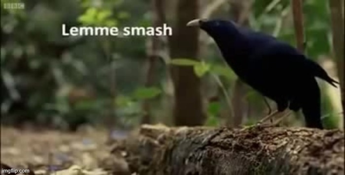 Lemme smash | image tagged in lemme smash | made w/ Imgflip meme maker