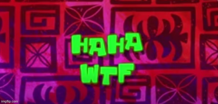 Haha WTF | image tagged in haha wtf | made w/ Imgflip meme maker