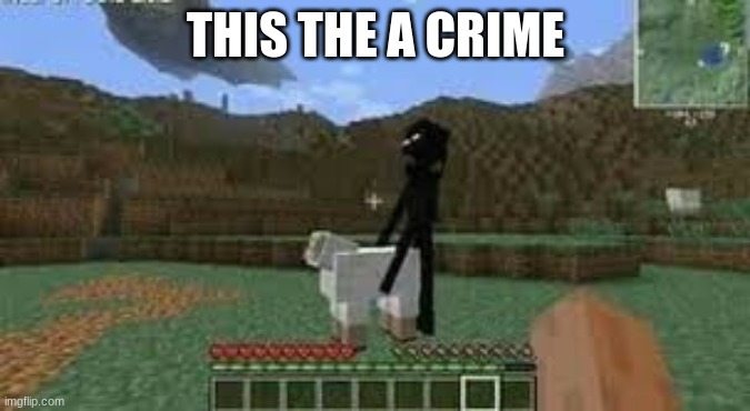 what the hell | THIS THE A CRIME | image tagged in memes,cursed image | made w/ Imgflip meme maker