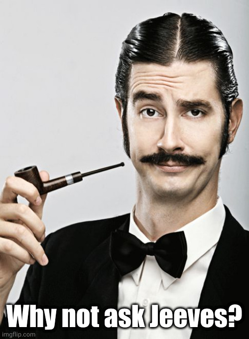 snob | Why not ask Jeeves? | image tagged in snob | made w/ Imgflip meme maker