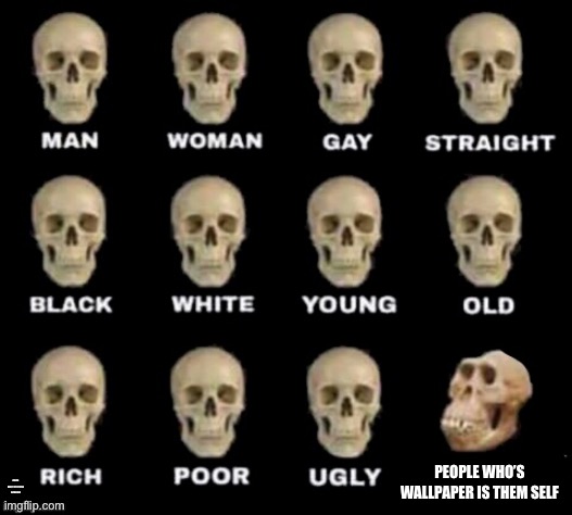 idiot skull | PEOPLE WHO’S WALLPAPER IS THEM SELF; PEOPLE WHO’S WALLPAPER IS THE SELF | image tagged in idiot skull | made w/ Imgflip meme maker
