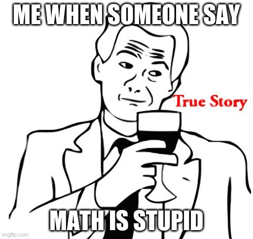 True Story | ME WHEN SOMEONE SAY; MATH IS STUPID | image tagged in memes,true story | made w/ Imgflip meme maker