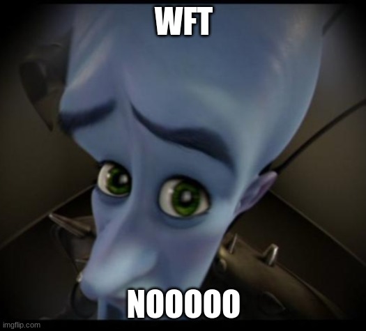WFT NOOOOO | image tagged in no bitches | made w/ Imgflip meme maker