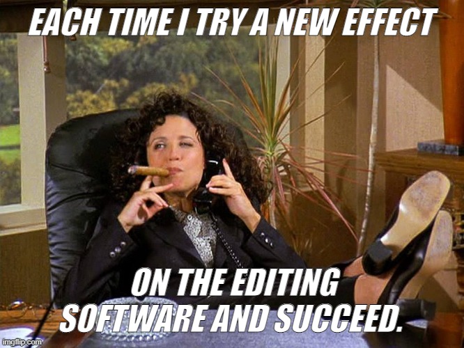 Elene seinfeld | EACH TIME I TRY A NEW EFFECT; ON THE EDITING SOFTWARE AND SUCCEED. | image tagged in seinfeld | made w/ Imgflip meme maker