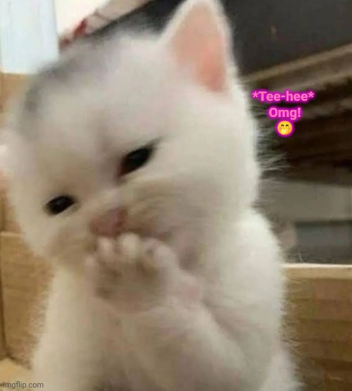 tee hee kitten | *Tee-hee* 
Omg!
🤭 | image tagged in tee hee kitten,omg kitten,kitten blowing kisses,thinking kitten,mwah kitten | made w/ Imgflip meme maker