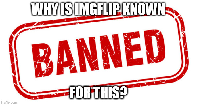 ban | WHY IS IMGFLIP KNOWN; FOR THIS? | image tagged in ban | made w/ Imgflip meme maker