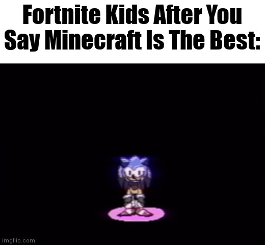 I don't know what to name this | Fortnite Kids After You Say Minecraft Is The Best: | image tagged in needlemouse stare | made w/ Imgflip meme maker