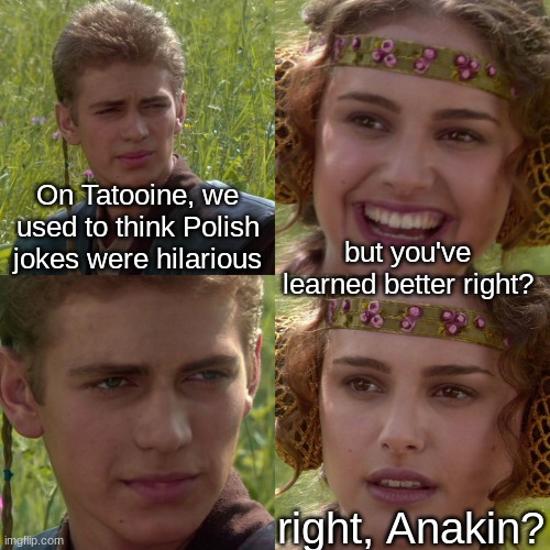 Anakin Padme 4 Panel | On Tatooine, we used to think Polish jokes were hilarious but you've learned better right? right, Anakin? | image tagged in anakin padme 4 panel | made w/ Imgflip meme maker