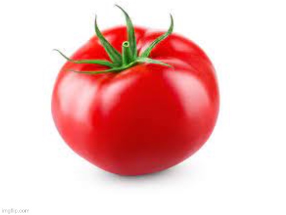 How popular can a tomato get? | image tagged in tomato,popular | made w/ Imgflip meme maker