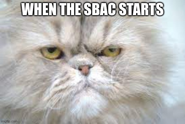 Sbac meme | WHEN THE SBAC STARTS | image tagged in funny meme | made w/ Imgflip meme maker