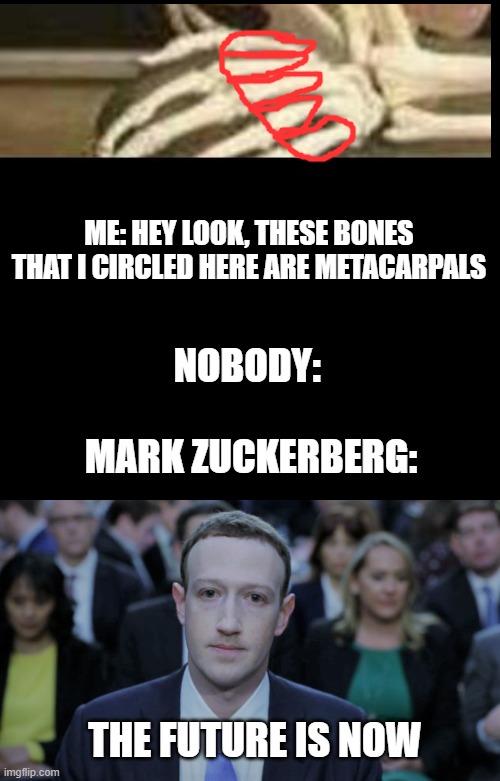 Zuckerberg's favorite movie must be "How I Meta Mother" |  ME: HEY LOOK, THESE BONES THAT I CIRCLED HERE ARE METACARPALS; NOBODY: 
 
MARK ZUCKERBERG:; THE FUTURE IS NOW | image tagged in memes,blank transparent square,mark zuckerberg testifies | made w/ Imgflip meme maker