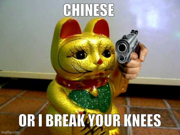 chinese or I break your knees |  CHINESE; OR I BREAK YOUR KNEES | image tagged in chinese cat,chinese,memes,funny,cat,cats | made w/ Imgflip meme maker