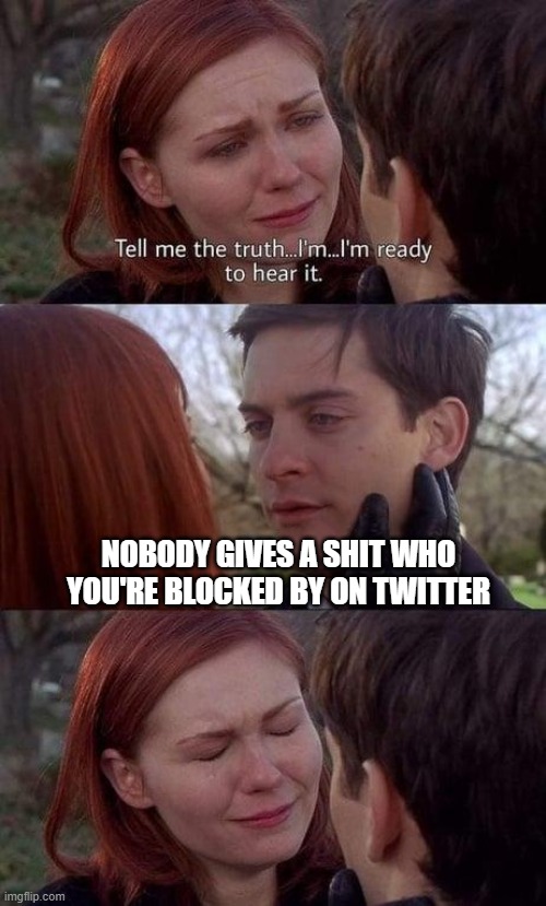 Tell me the truth, I'm ready to hear it | NOBODY GIVES A SHIT WHO YOU'RE BLOCKED BY ON TWITTER | image tagged in tell me the truth i'm ready to hear it | made w/ Imgflip meme maker