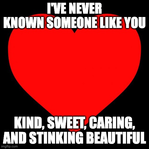 Send to ur bestie | I'VE NEVER KNOWN SOMEONE LIKE YOU; KIND, SWEET, CARING, AND STINKING BEAUTIFUL | image tagged in heart | made w/ Imgflip meme maker