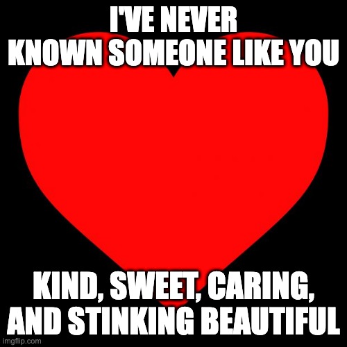 Heart | I'VE NEVER KNOWN SOMEONE LIKE YOU; KIND, SWEET, CARING, AND STINKING BEAUTIFUL | image tagged in heart | made w/ Imgflip meme maker