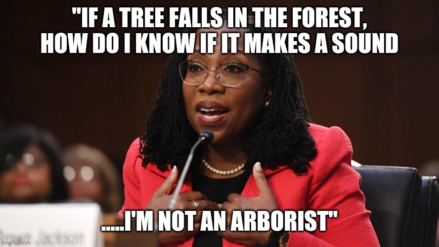 Sure as fried chicken | "IF A TREE FALLS IN THE FOREST, HOW DO I KNOW IF IT MAKES A SOUND; .....I'M NOT AN ARBORIST" | image tagged in ketanji brown jackson | made w/ Imgflip meme maker
