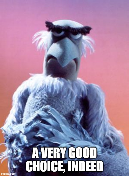 Sam The Eagle | A VERY GOOD CHOICE, INDEED | image tagged in sam the eagle | made w/ Imgflip meme maker