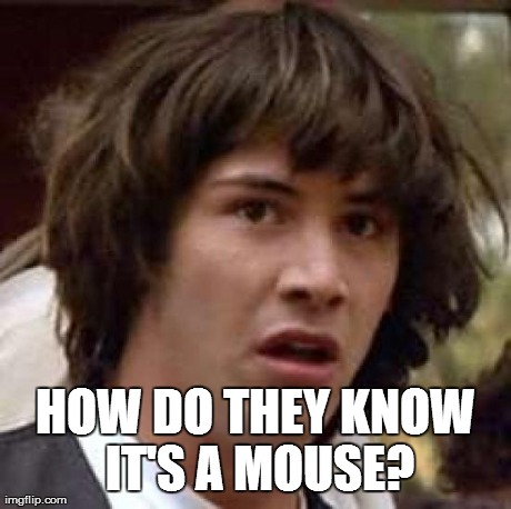 Conspiracy Keanu Meme | HOW DO THEY KNOW IT'S A MOUSE? | image tagged in memes,conspiracy keanu | made w/ Imgflip meme maker