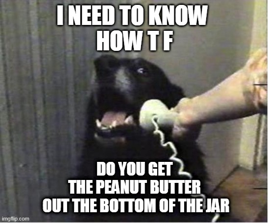 Yes this is dog | I NEED TO KNOW 
HOW T F; DO YOU GET
THE PEANUT BUTTER
 OUT THE BOTTOM OF THE JAR | image tagged in yes this is dog,customer service,peanut butter,dog,wut | made w/ Imgflip meme maker
