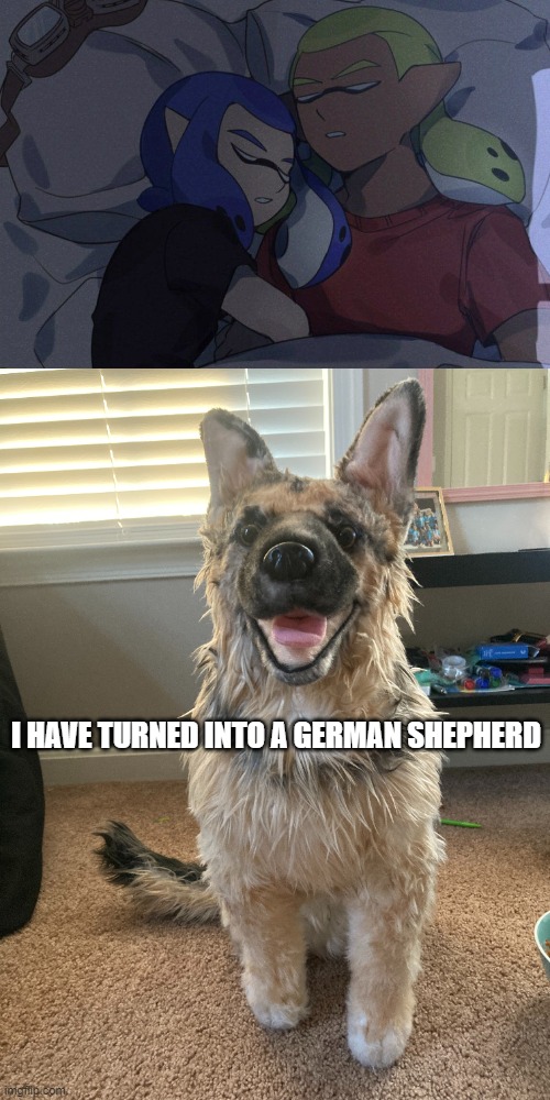 She was modeled after my beloved Rey, who passed away in 2019. I love you, Rey. | I HAVE TURNED INTO A GERMAN SHEPHERD | made w/ Imgflip meme maker