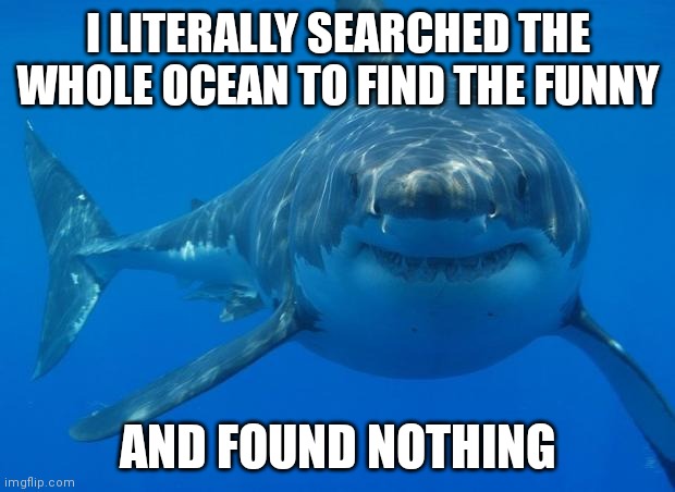 Straight White Shark | I LITERALLY SEARCHED THE WHOLE OCEAN TO FIND THE FUNNY AND FOUND NOTHING | image tagged in straight white shark | made w/ Imgflip meme maker