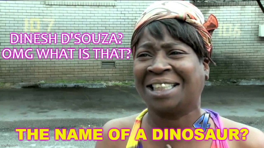 Dinesh D'Souza? OMG WHAT IS THAT? | DINESH D'SOUZA?
OMG WHAT IS THAT? THE NAME OF A DINOSAUR? | image tagged in ain't nobody got time for that | made w/ Imgflip meme maker