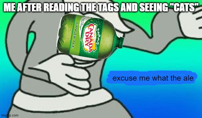 Excuse Me What The Heck | ME AFTER READING THE TAGS AND SEEING "CATS" excuse me what the ale | image tagged in excuse me what the heck | made w/ Imgflip meme maker