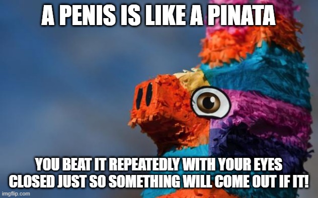 Skeet Skeet Skeet | A PENIS IS LIKE A PINATA; YOU BEAT IT REPEATEDLY WITH YOUR EYES CLOSED JUST SO SOMETHING WILL COME OUT IF IT! | image tagged in pinata surprise | made w/ Imgflip meme maker