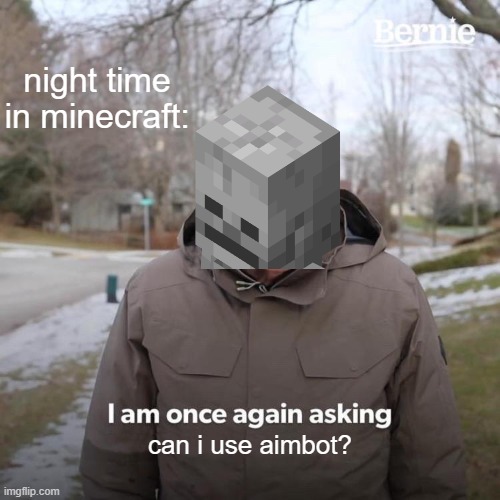 Relative pt2? | night time in minecraft:; can i use aimbot? | image tagged in memes,bernie i am once again asking for your support | made w/ Imgflip meme maker