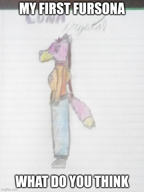 My first fursona what do you think | MY FIRST FURSONA; WHAT DO YOU THINK | made w/ Imgflip meme maker