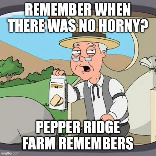 Pepperidge Farm Remembers Meme | REMEMBER WHEN THERE WAS NO HORNY? PEPPER RIDGE FARM REMEMBERS | image tagged in memes,pepperidge farm remembers | made w/ Imgflip meme maker