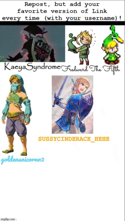 Botw link | SUSSYCINDERACE_HEHE | image tagged in link,repost | made w/ Imgflip meme maker