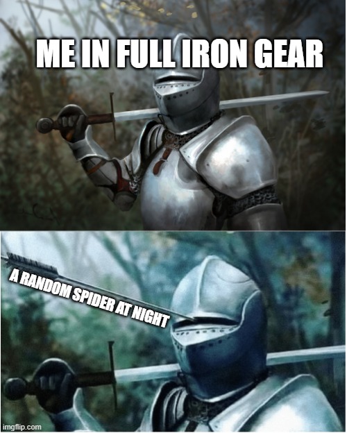 I lost my trident in bedrock edition bc of this | ME IN FULL IRON GEAR; A RANDOM SPIDER AT NIGHT | image tagged in knight with arrow in helmet | made w/ Imgflip meme maker