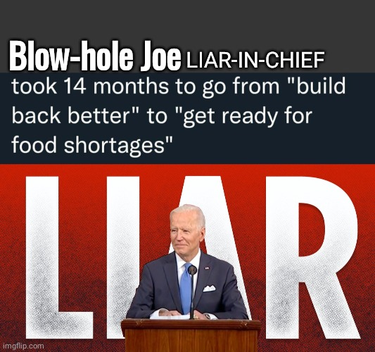 Blowhole Joe liar build back to food shortages | Blow-hole Joe; LIAR-IN-CHIEF | image tagged in lying blowhard joe | made w/ Imgflip meme maker