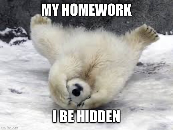 You can't see me! | MY HOMEWORK I BE HIDDEN | image tagged in you can't see me | made w/ Imgflip meme maker