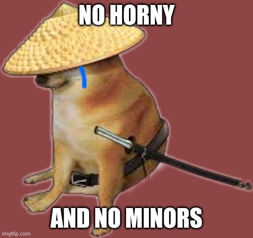 Silence wench | NO HORNY; AND NO MINORS | image tagged in silence wench | made w/ Imgflip meme maker