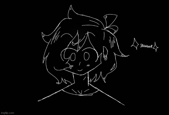 tried out ✨sketchbook✨ | made w/ Imgflip meme maker