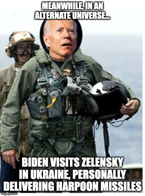 Bold leadership | MEANWHILE, IN AN ALTERNATE UNIVERSE... BIDEN VISITS ZELENSKY IN UKRAINE, PERSONALLY DELIVERING HARPOON MISSILES | image tagged in biden mission accomplished | made w/ Imgflip meme maker