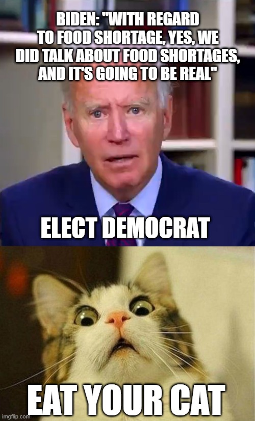 Elect Democrat = Eat Your Cat | BIDEN: "WITH REGARD TO FOOD SHORTAGE, YES, WE DID TALK ABOUT FOOD SHORTAGES, AND IT'S GOING TO BE REAL"; ELECT DEMOCRAT; EAT YOUR CAT | image tagged in slow joe biden dementia face,memes,scared cat,starvation,democrats,ukraine | made w/ Imgflip meme maker