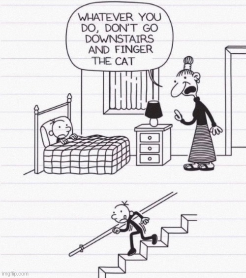 "I wont" | image tagged in diary of a wimpy kid | made w/ Imgflip meme maker