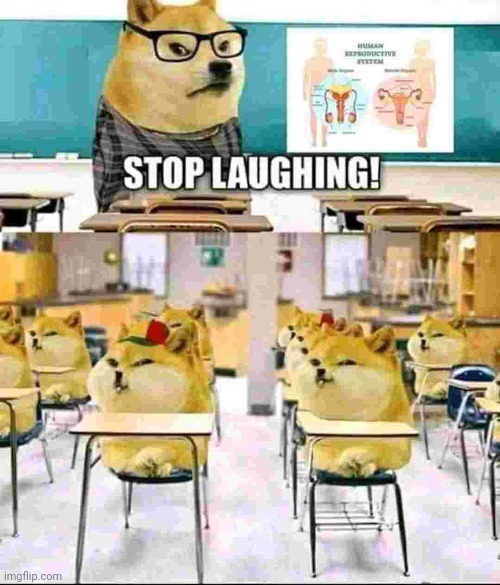 image tagged in laughing,doge | made w/ Imgflip meme maker