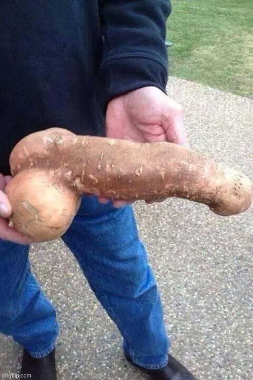 genitals | image tagged in sweet potatoe | made w/ Imgflip meme maker